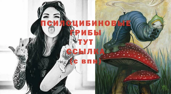 MDMA Елизово