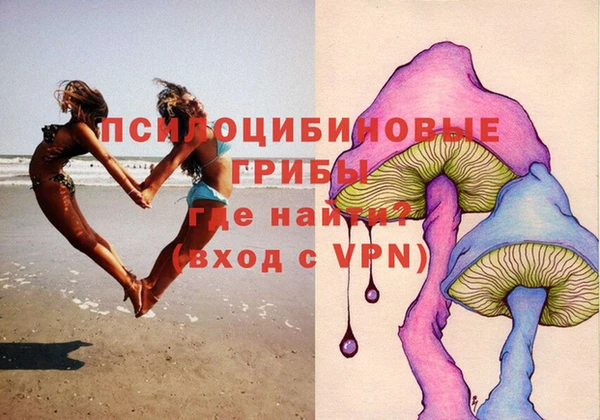 кокс Ельня