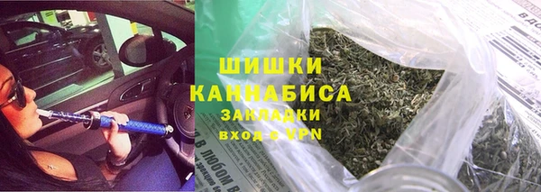 кокс Ельня