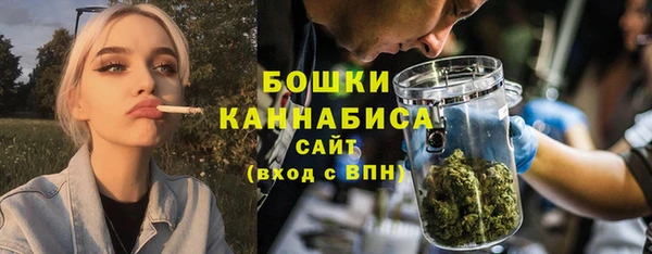 кокс Ельня