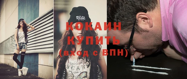 кокс Ельня