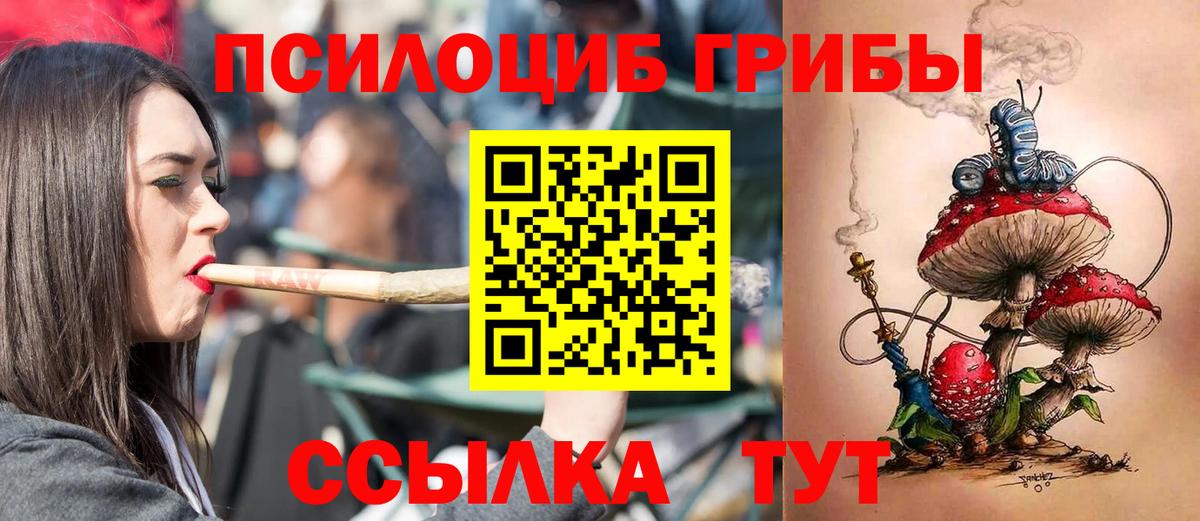 купить  сайты  Ачинск  Галлюциногенные грибы Cubensis  Псилоцибиновые грибы Psilocybe 