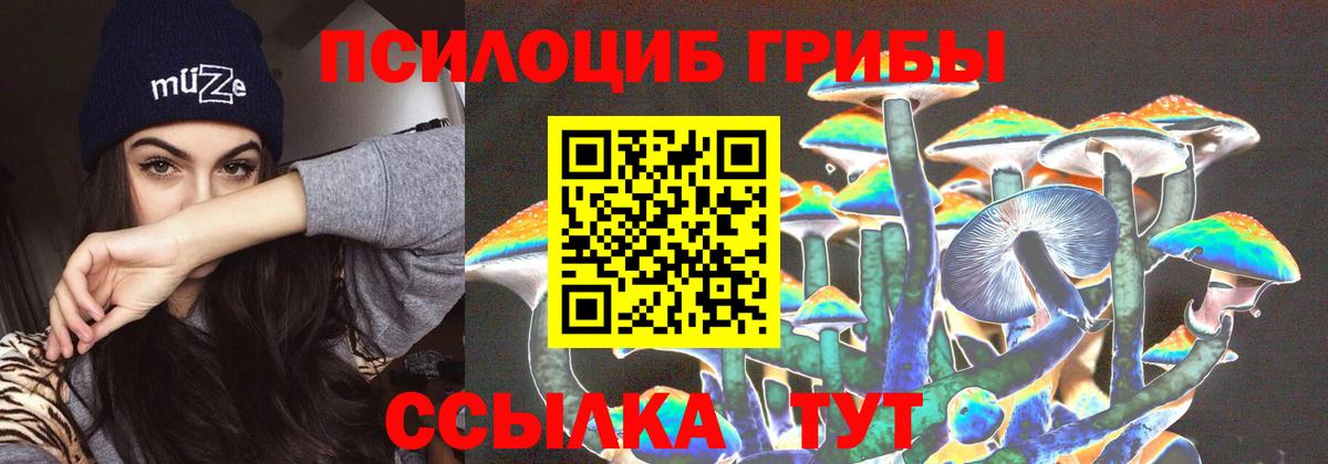Ачинск  купить наркоту  Вход с VPN  Псилоцибиновые грибы ЛСД 