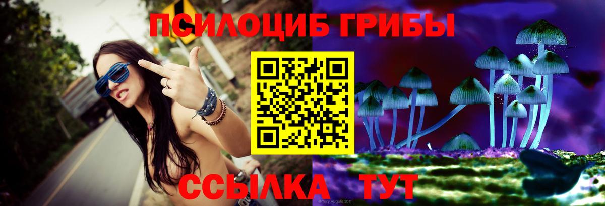 Псилоцибиновые грибы Magic Shrooms Ачинск